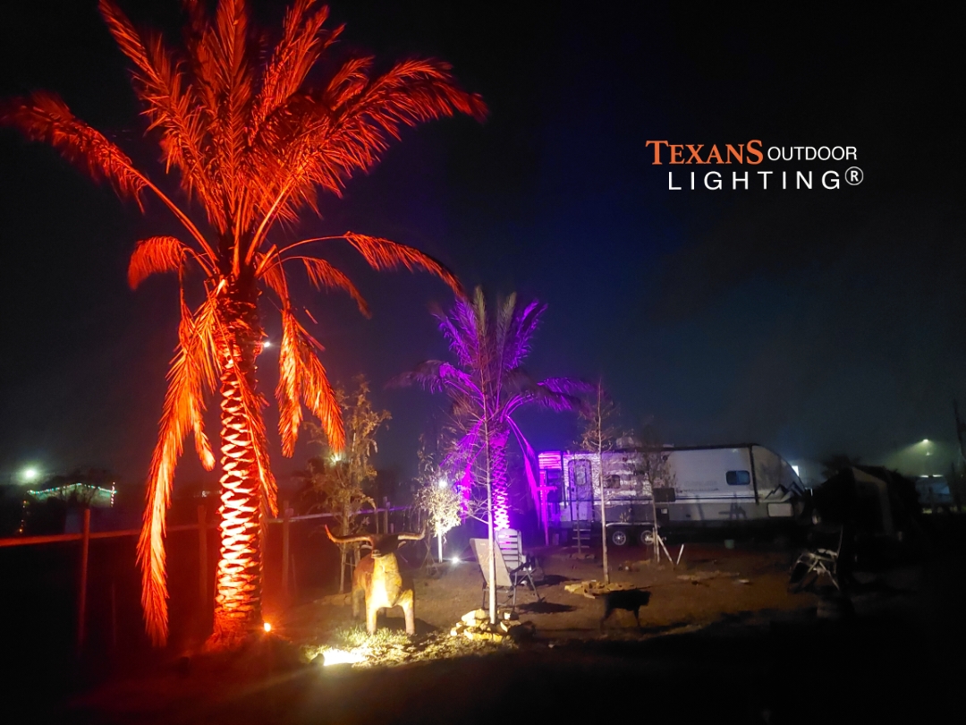 Outdoor Lighting for palms