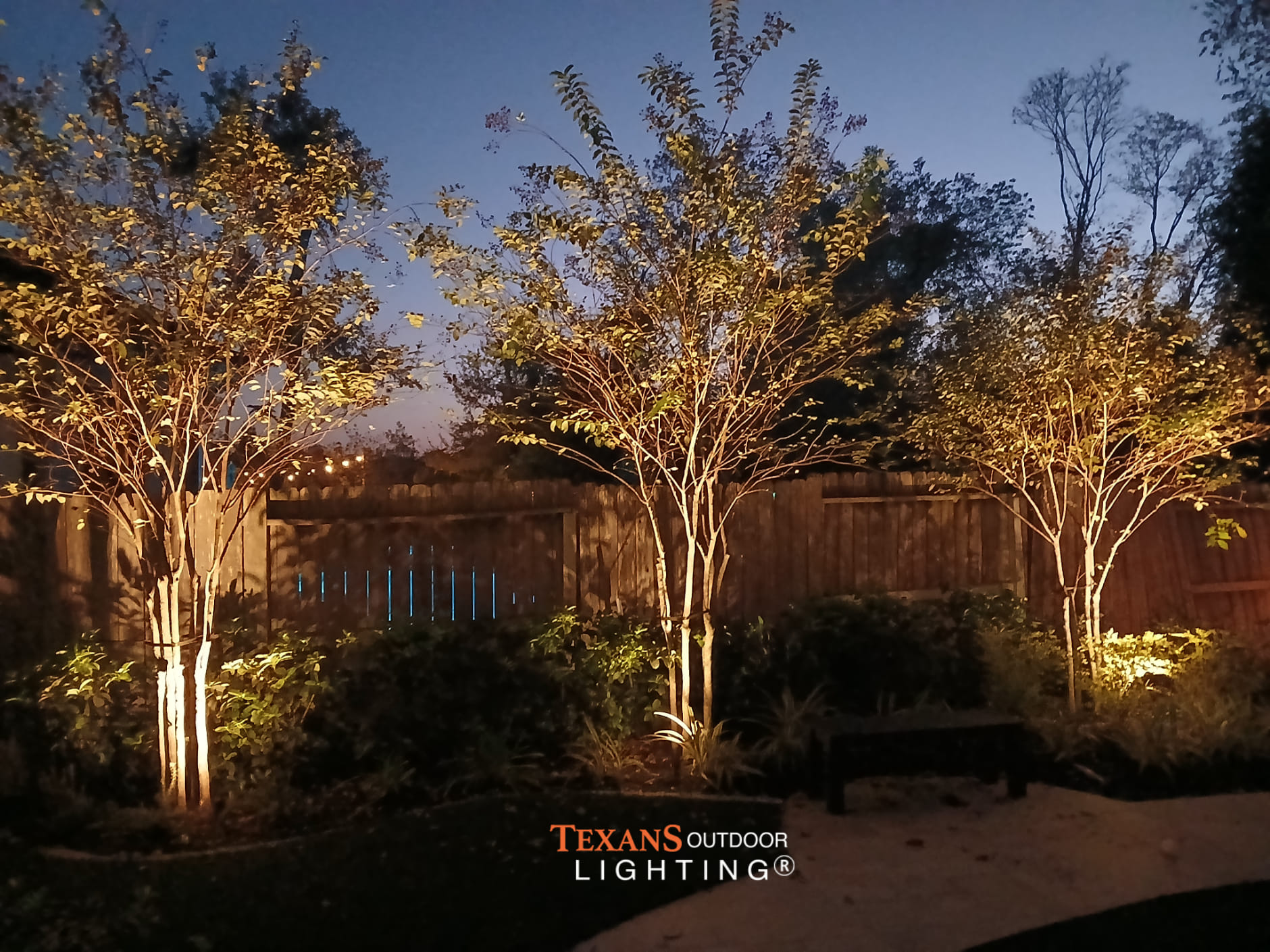 outdoor lighting for trees
