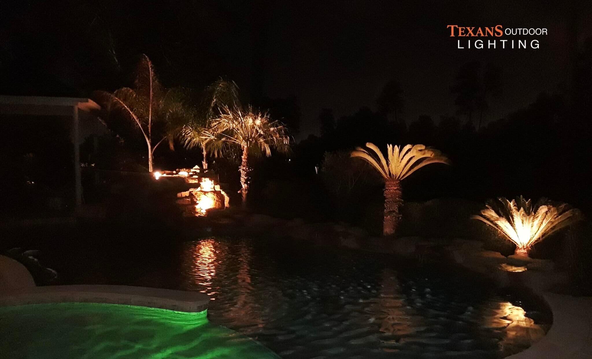 Lights for Pools around palms