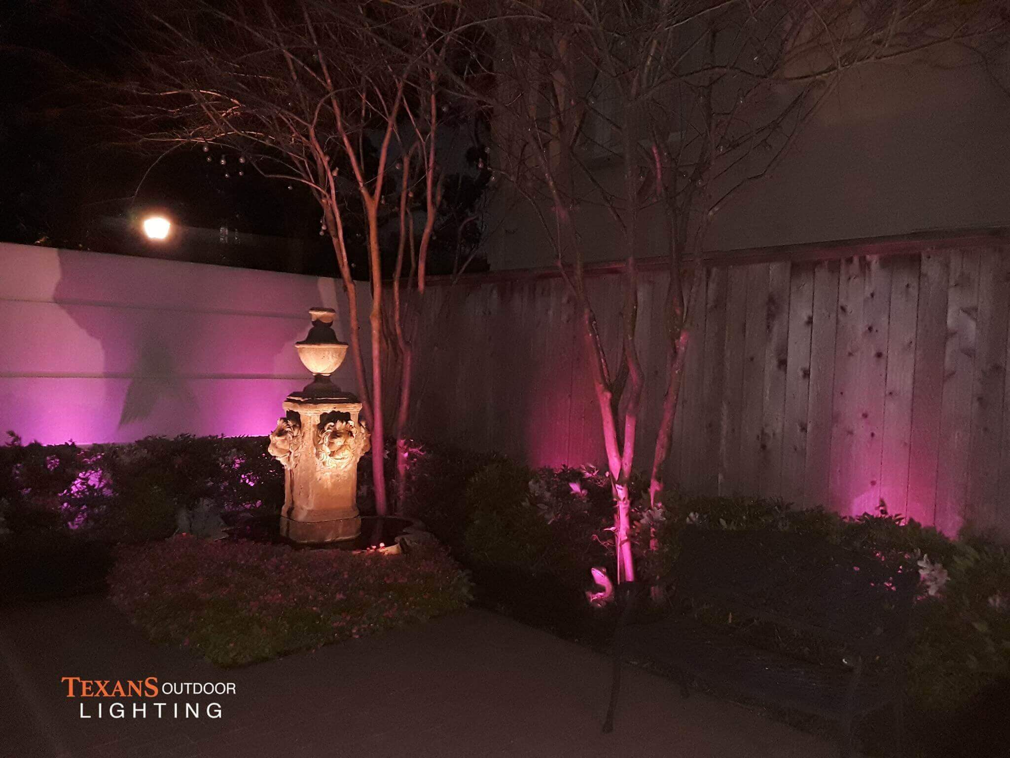 Color Lights for trees installation