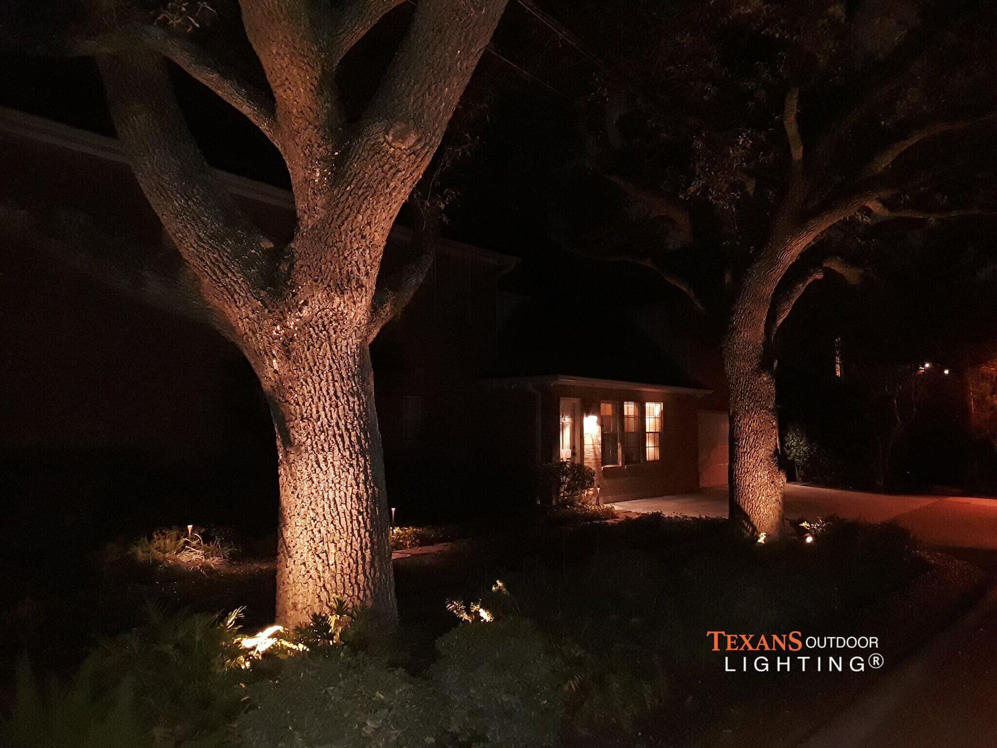 Exterior Lights for trees