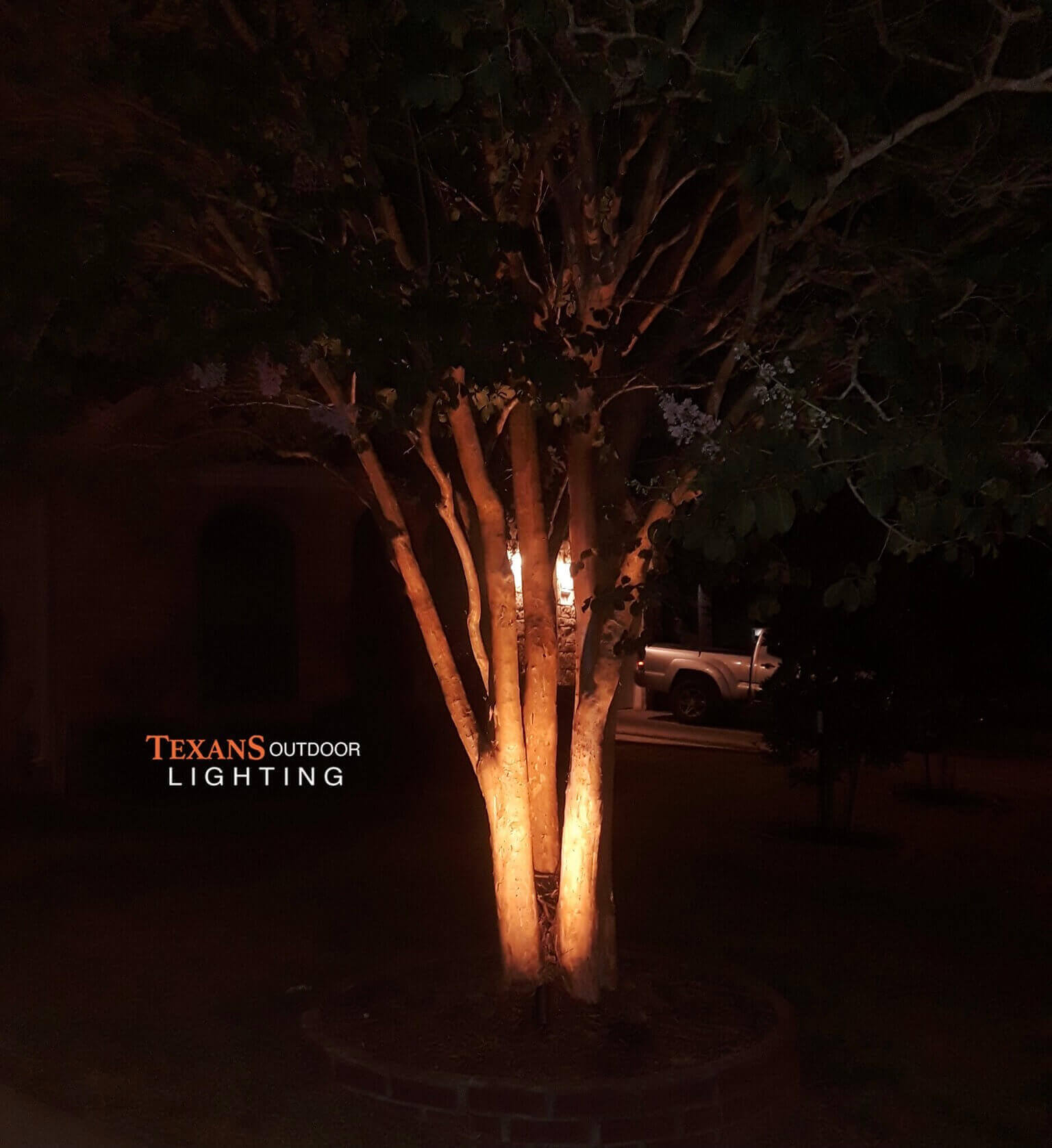 Outdoor Lighting lights for trees