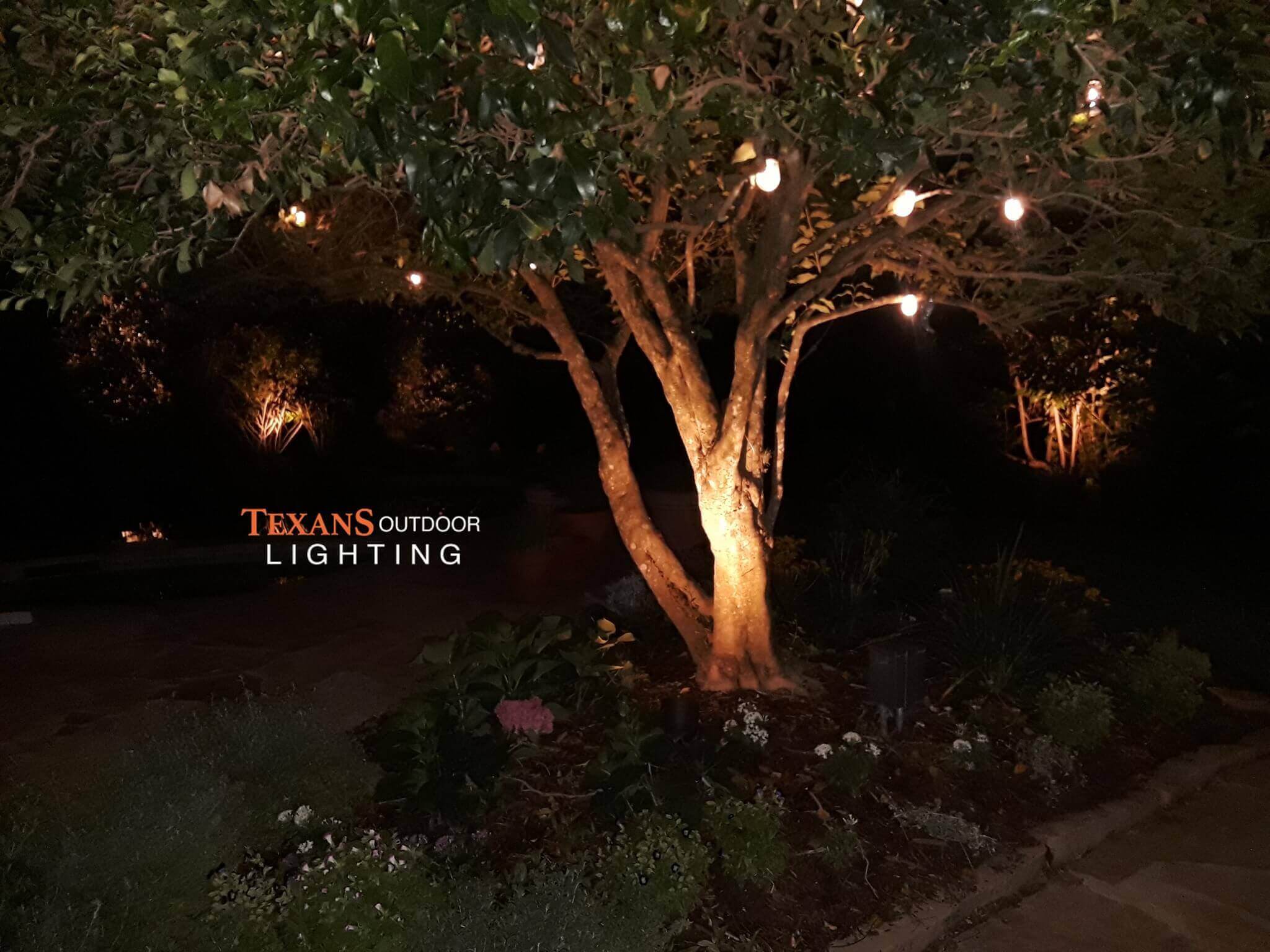 lights for trees